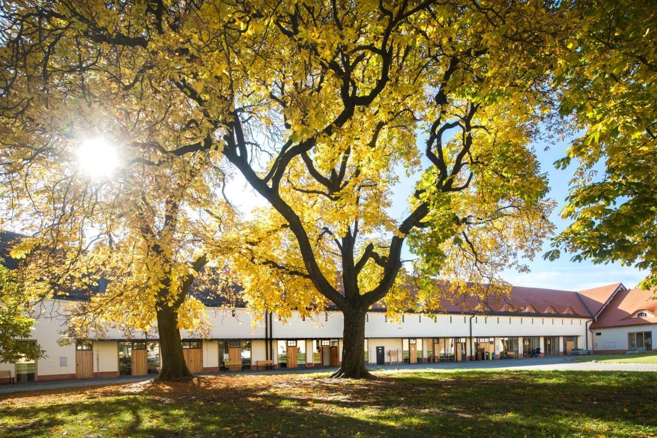 Penzion Pansky Dvur Telč Exterior foto